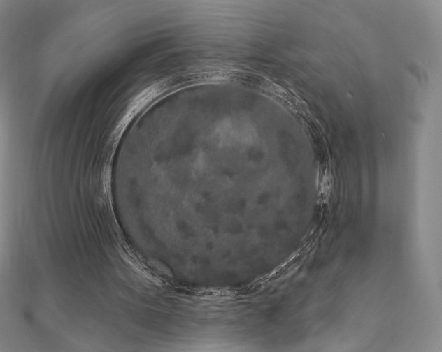 X0000110860099200906181150