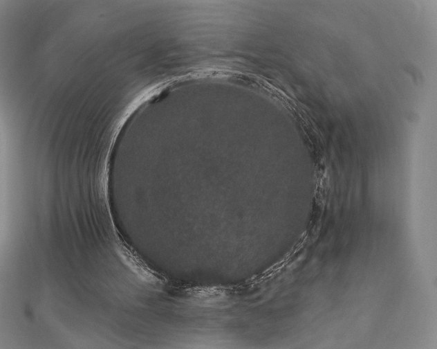 X0000110860100200906181150