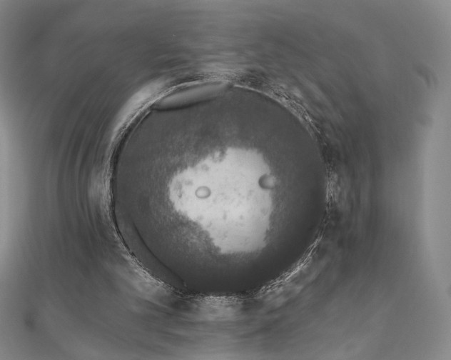 X0000110860101200906181150