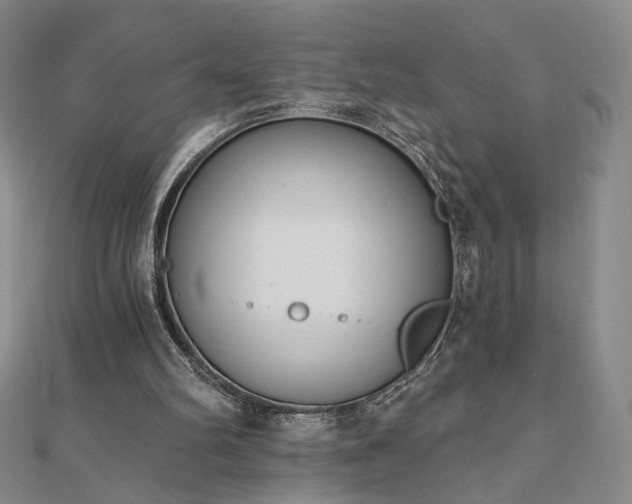 X0000110860102200906181150