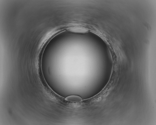 X0000110860103200906181149