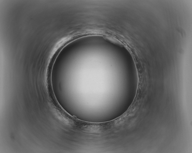 X0000110860104200906181149