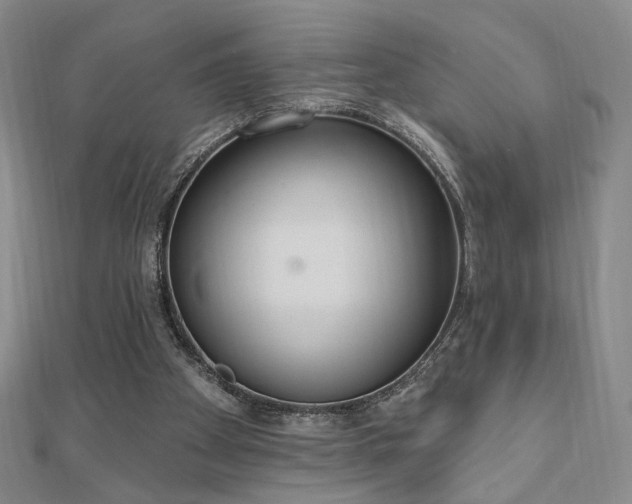 X0000110860105200906181149