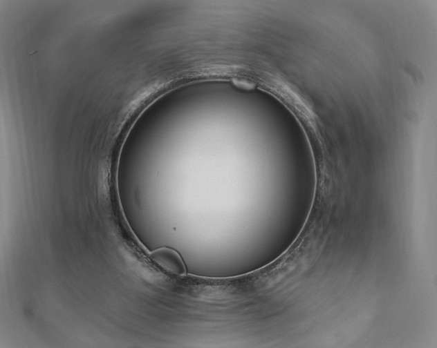 X0000110860107200906181149