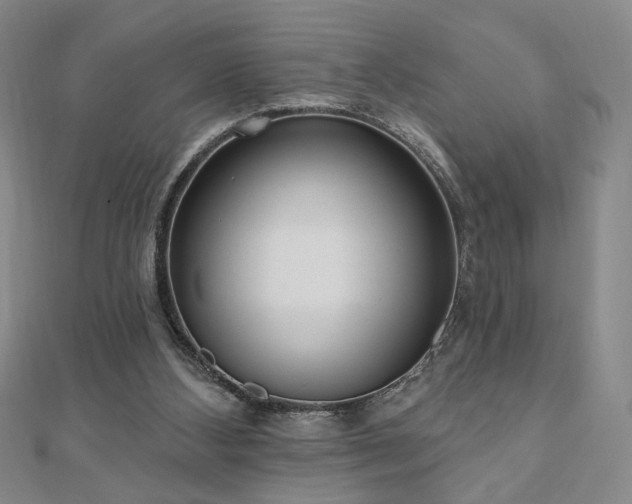 X0000110860108200906181149