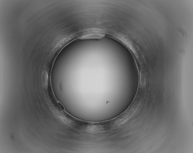 X0000110860109200906181149