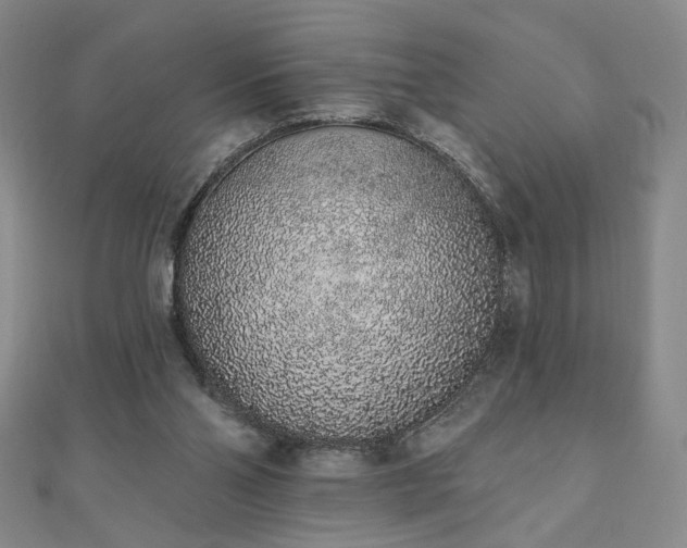 X0000110860110200906181149