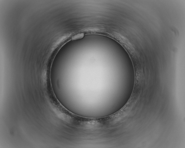 X0000110860112200906181149