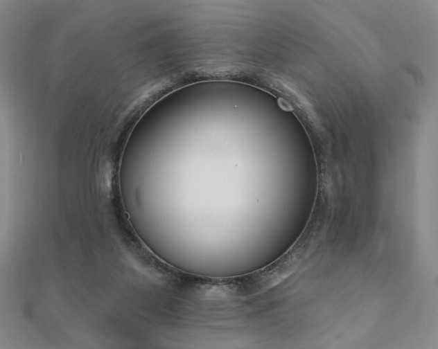 X0000110860115200906181149