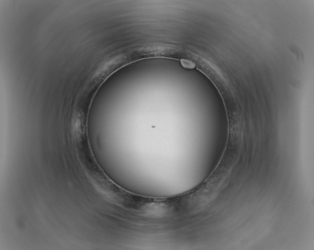 X0000110860119200906181149