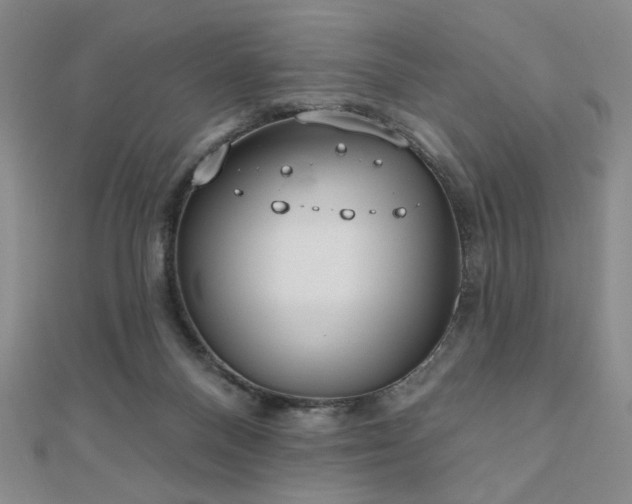 X0000110860120200906181149