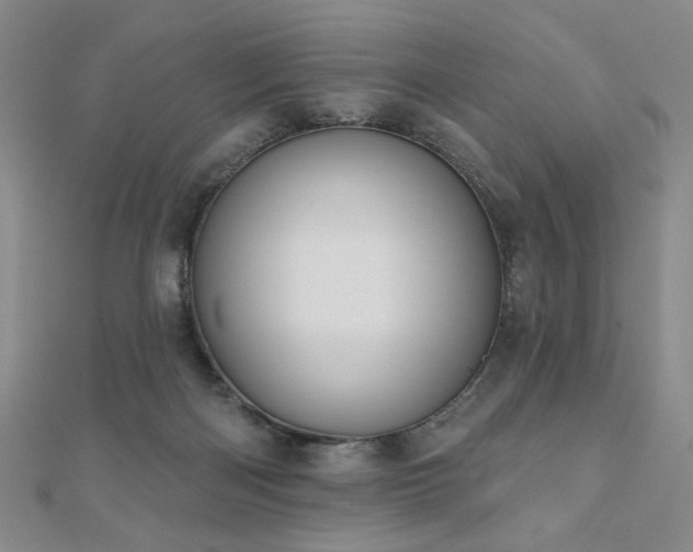 X0000110860122200906181149