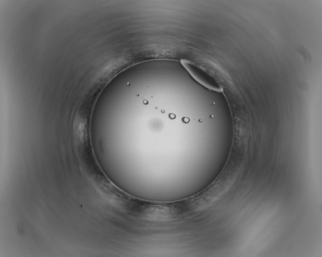 X0000110860123200906181149