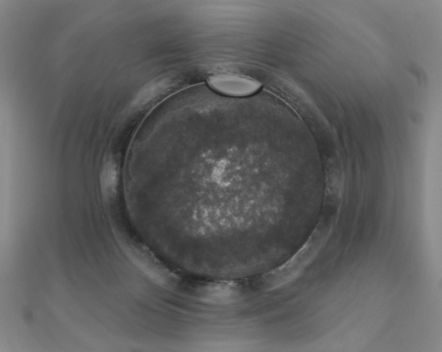 X0000110860124200906181149