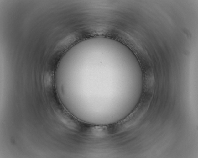 X0000110860126200906181149