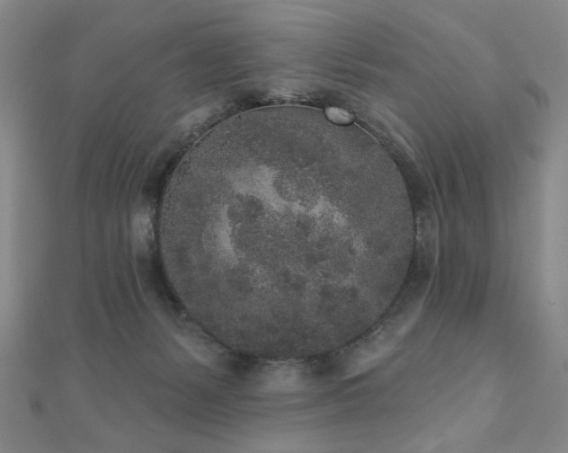 X0000110860127200906181149