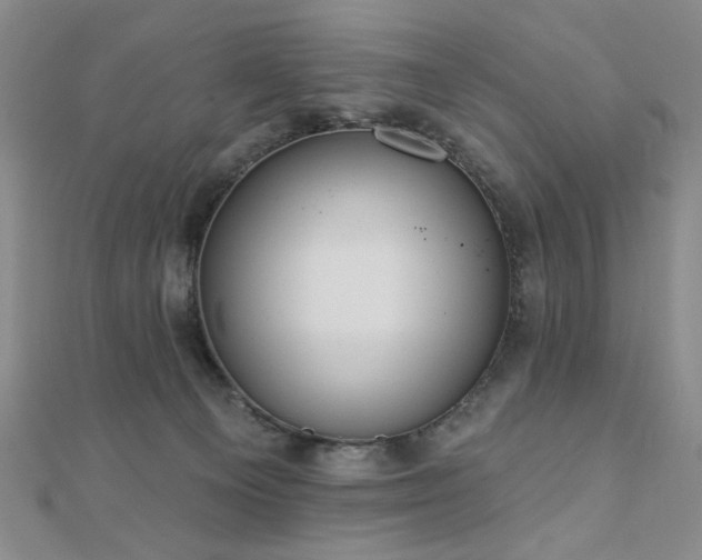 X0000110860129200906181149