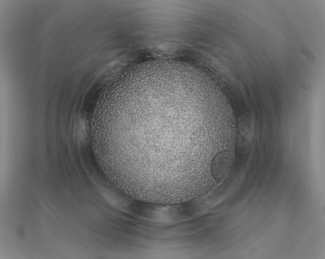 X0000110860130200906181149