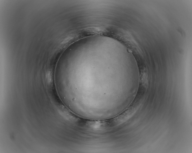 X0000110860131200906181149