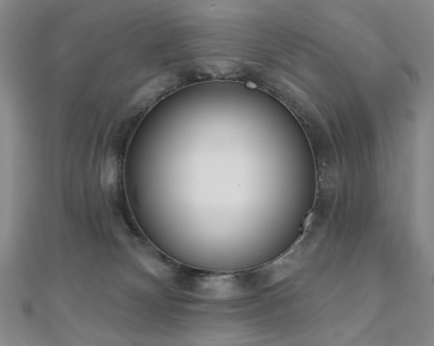 X0000110860132200906181149