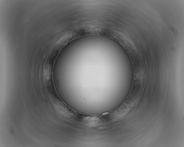 X0000110860133200906181149