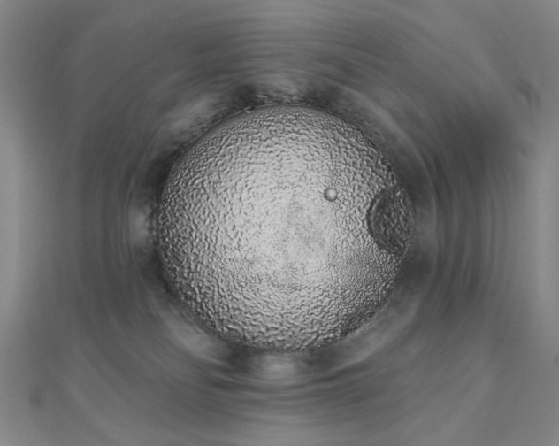 X0000110860134200906181149