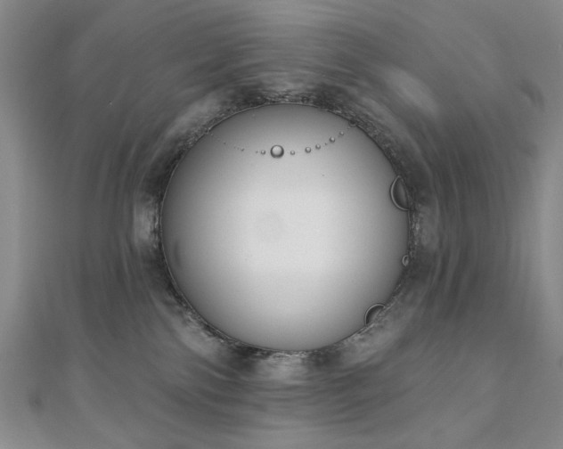 X0000110860138200906181149