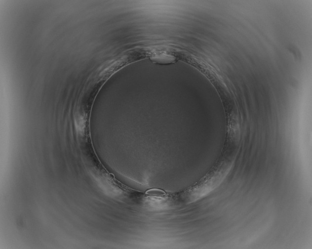 X0000110860139200906181149