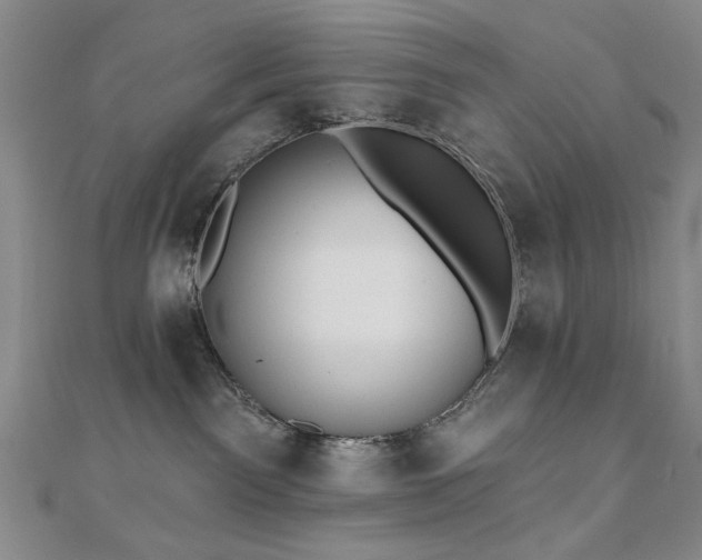 X0000110860141200906181149