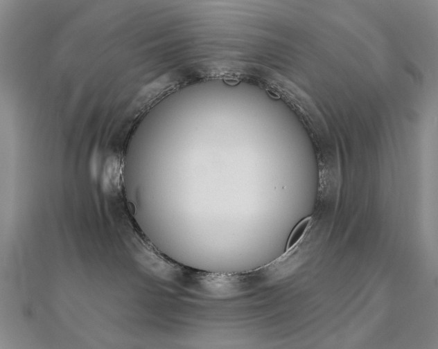 X0000110860142200906181149