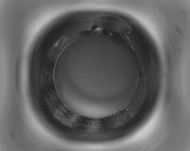 X0000110860143200906181149