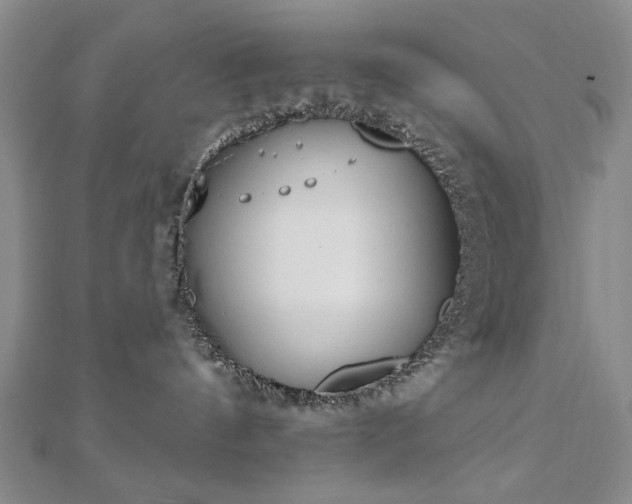 X0000110860144200906181149