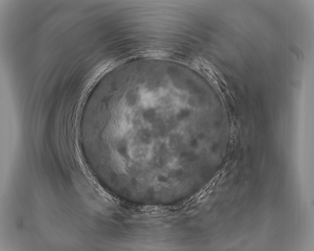 X0000110860145200906181148
