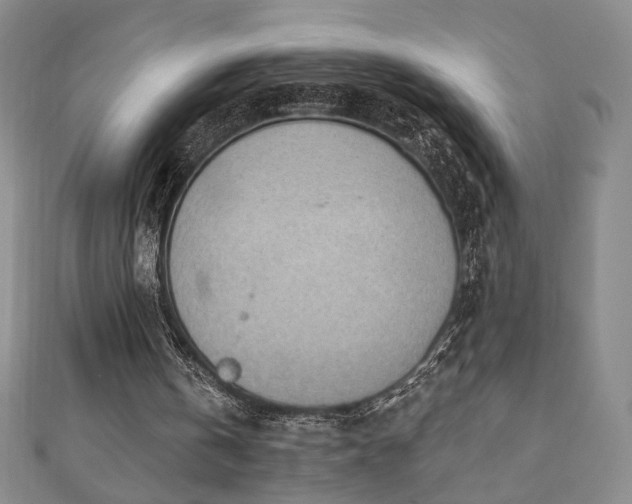 X0000110860146200906181148