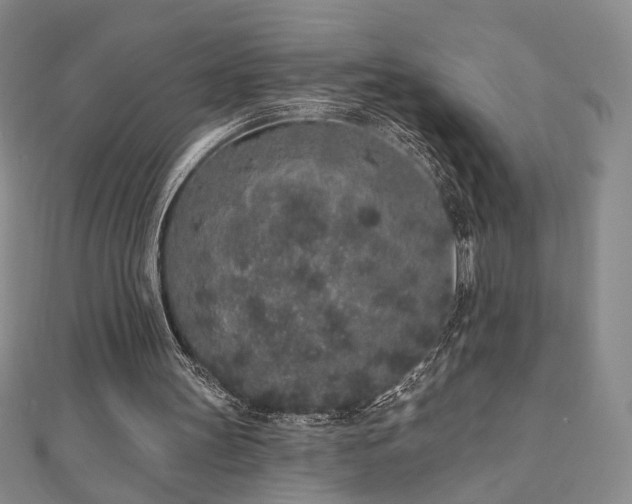 X0000110860147200906181148
