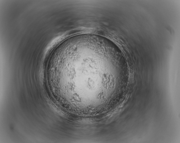 X0000110860149200906181148