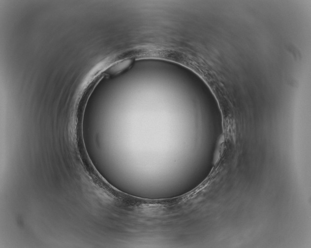 X0000110860150200906181148