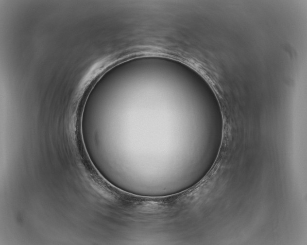 X0000110860151200906181148