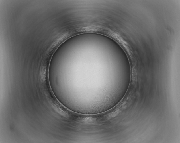 X0000110860153200906181148