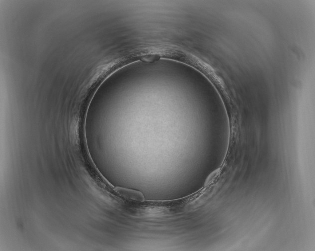 X0000110860154200906181148