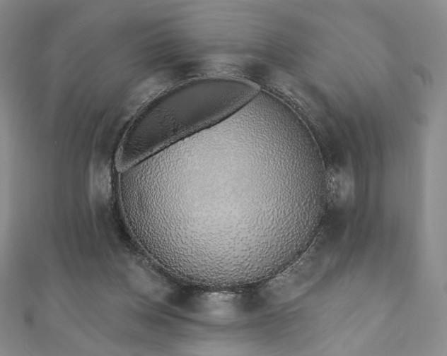 X0000110860158200906181148