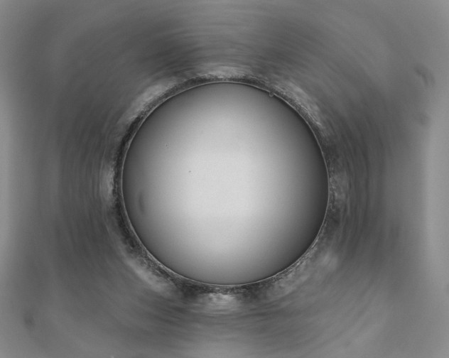 X0000110860159200906181148