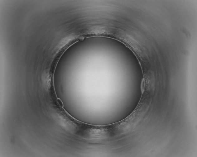 X0000110860160200906181148