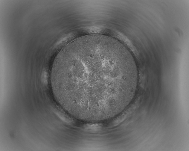 X0000110860161200906181148