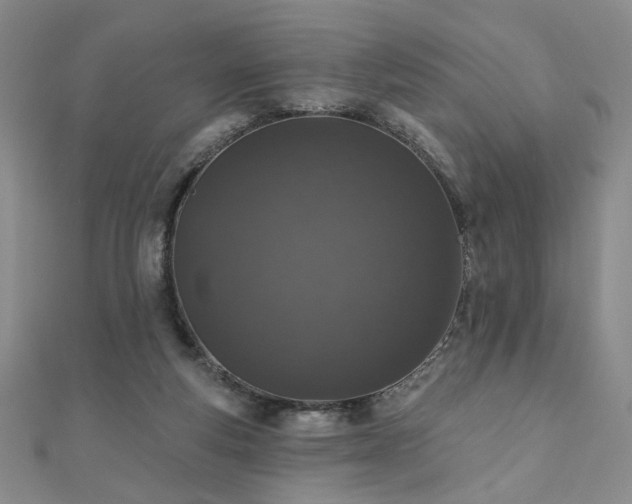 X0000110860163200906181148