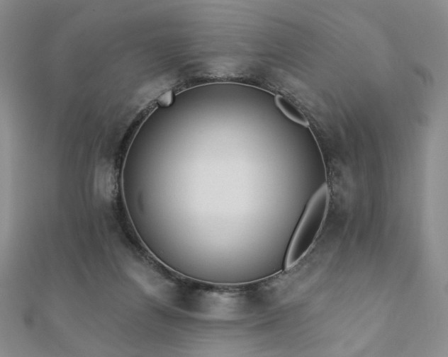 X0000110860164200906181148