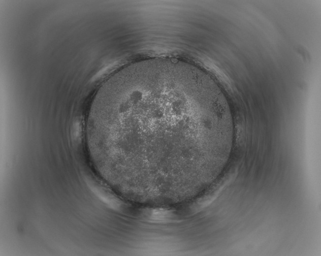 X0000110860165200906181148