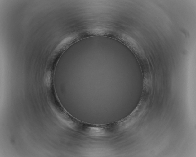X0000110860167200906181148