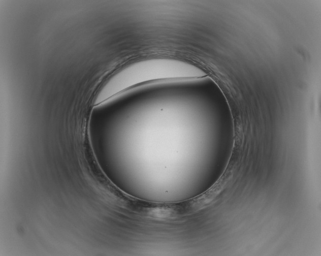 X0000110860168200906181149