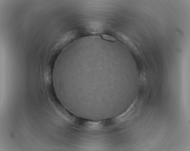 X0000110860170200906181149